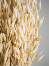 Laden Sie das Bild in den Galerie-Viewer, Hafer gebleicht